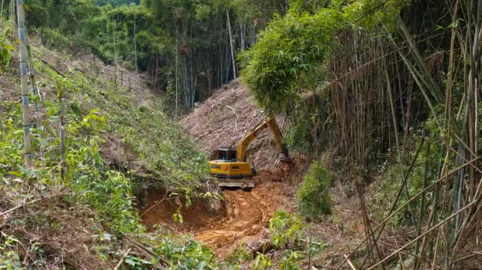 林間“藏龍”，竹海“臥虎”——徐工林業(yè)挖機廣西俠客行